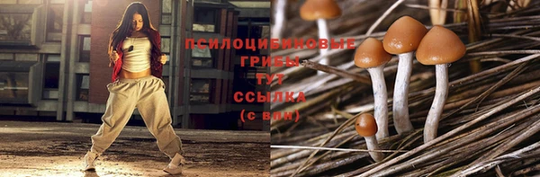 a pvp Арсеньев