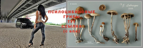 прущие крисы Армянск