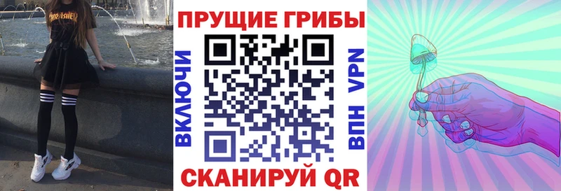 Псилоцибиновые грибы Psilocybe  мега ТОР  Малоархангельск 